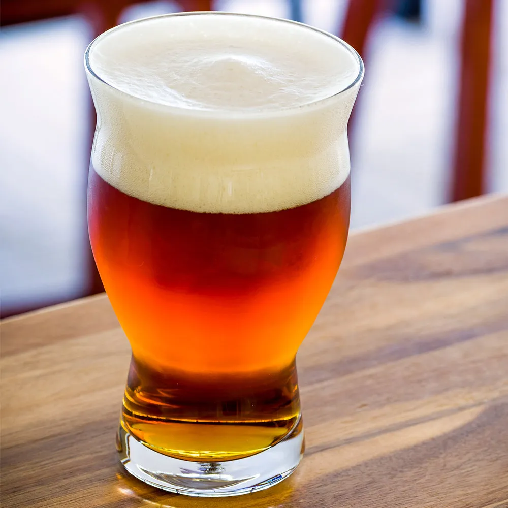 16 oz Craft Beer Pint Glass - Flared - 3 1/2" x 3 1/2" x 5 3/4" - 12 count box