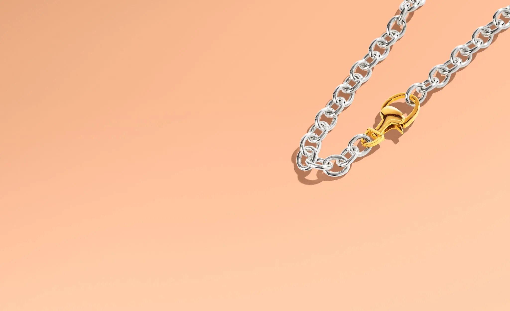 Stirrup Lock Chain Necklace